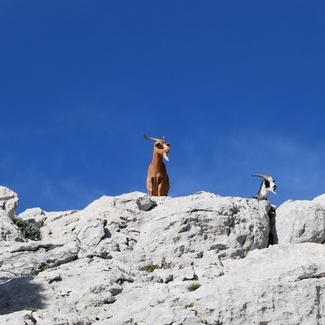 Une rencontre inattendue