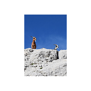 Une randonnée de l'Usep autour du Mont Caume