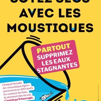Moustique tigre : soyons vigilant
