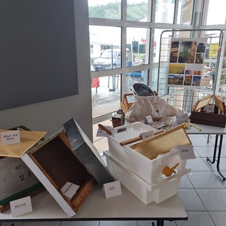 Fête du Miel, de la Ruche et des saveurs d'automne 2022 : exposition