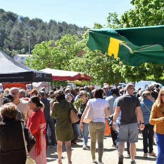 Fête Pivoine 2