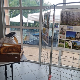 Fête du Miel, de la Ruche et des saveurs d'automne 2022 : exposition