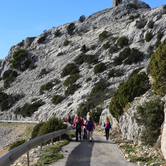 En route pour le sommet du Mont Caume !