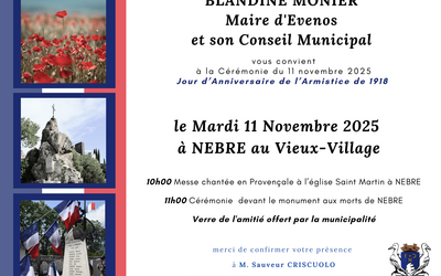 Cérémonie du 11 novembre 1918