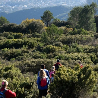 Nous entamons la descente