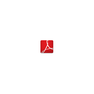 Icône fichier PDF