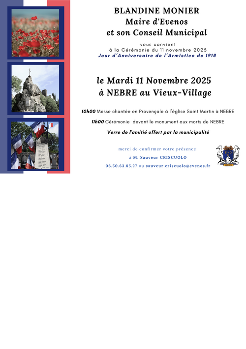 Cérémonie du 11 novembre 1918