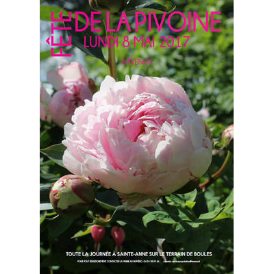 Première Fête de la Pivoine en 2017 : un pari réussi