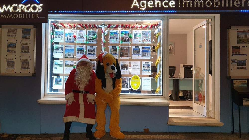 Agence immobilière AMORGOS