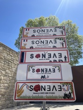 LES PANNEAUX DE VILLE DU CONSEIL MUNICIPAL DES ENFANTS INAUGURÉS