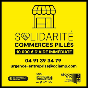 Fonds « Solidarité commerces pillés » : 10 000€ d'aide directe et (...)