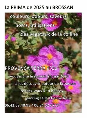 LA PRIMA de l'Association Provença Terra d'Oc