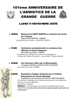 Cérémonie du 11 novembre 1918 avec le 519ème GTM