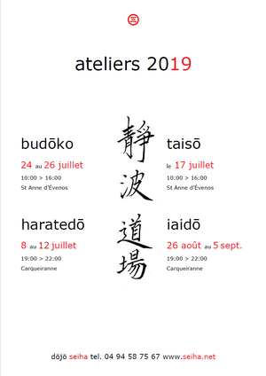 Les stages d'été du Dojo Seiha