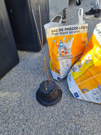 Retour sur la 8ème édition de LA BALADE POUR LA NATURE