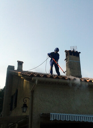 3D ARTAUD : Traitement de toiture contre guêpes