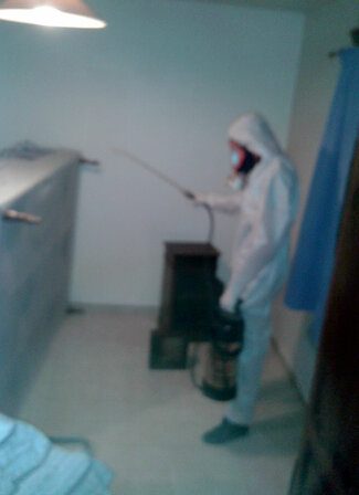 3D ARTAUD : Traitement de désinsectisation contre punaises de lits