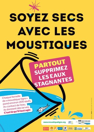 Moustique tigre : soyons vigilant