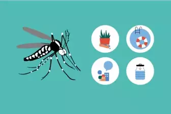 Moustique tigre : comment s'en débarrasser ?