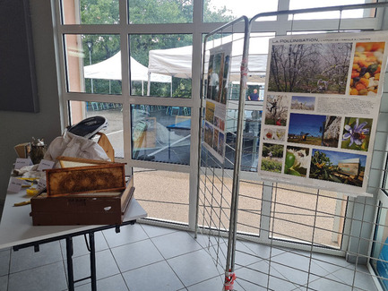 Fête du Miel, de la Ruche et des saveurs d'automne 2022 : exposition