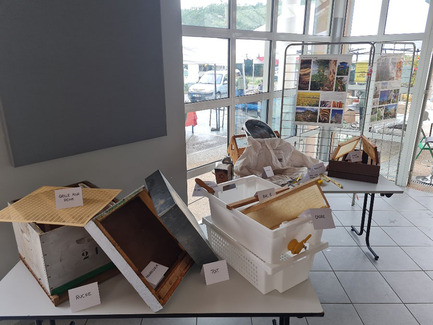 Fête du Miel, de la Ruche et des saveurs d'automne 2022 : exposition