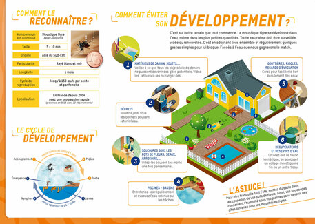 Plaquette Moustique tigre : limiter son développement