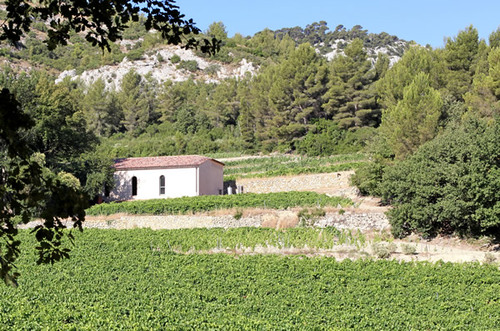 Le Domaine DUPUY DE LOME
