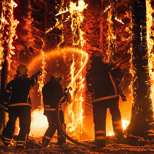 Cérémonie d'hommage aux soldats du feu