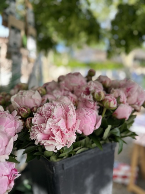 Quelle magnifique 9ème édition ! 🌸✨