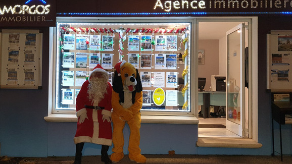 Agence immobilière AMORGOS